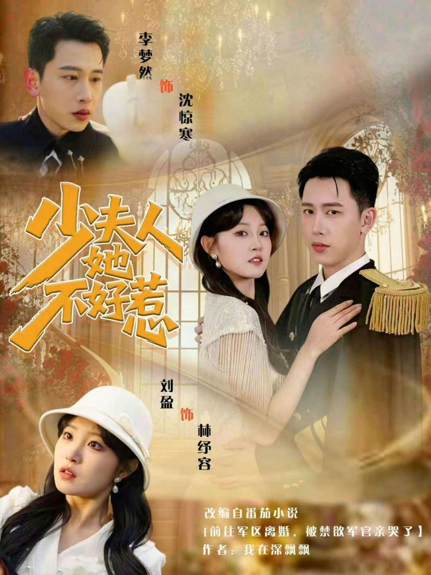 少夫人她不好惹全集