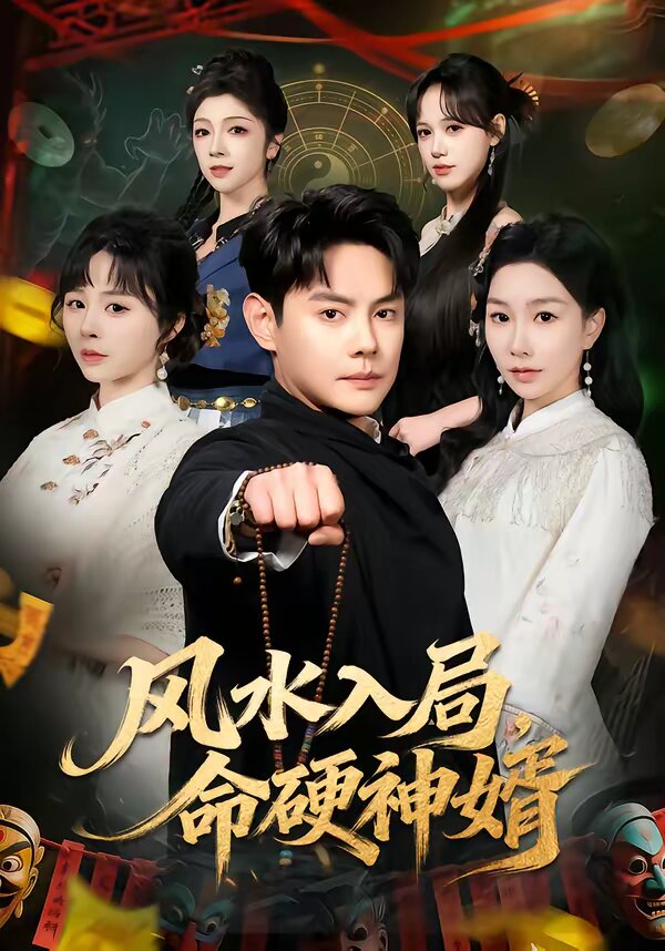 风水入局，命硬神婿全集