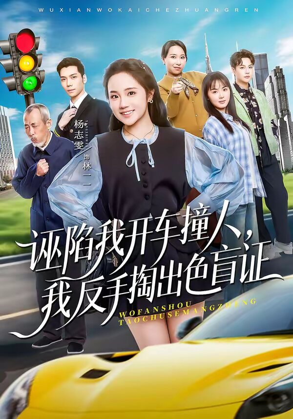 诬陷我开车撞人，我反手掏出色盲证全集