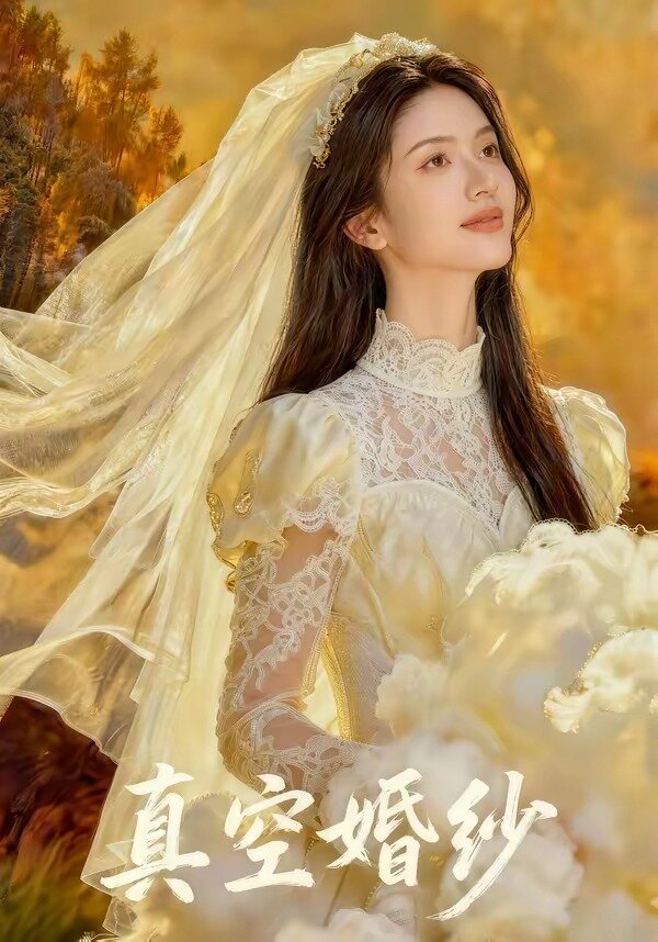 真空婚纱全集