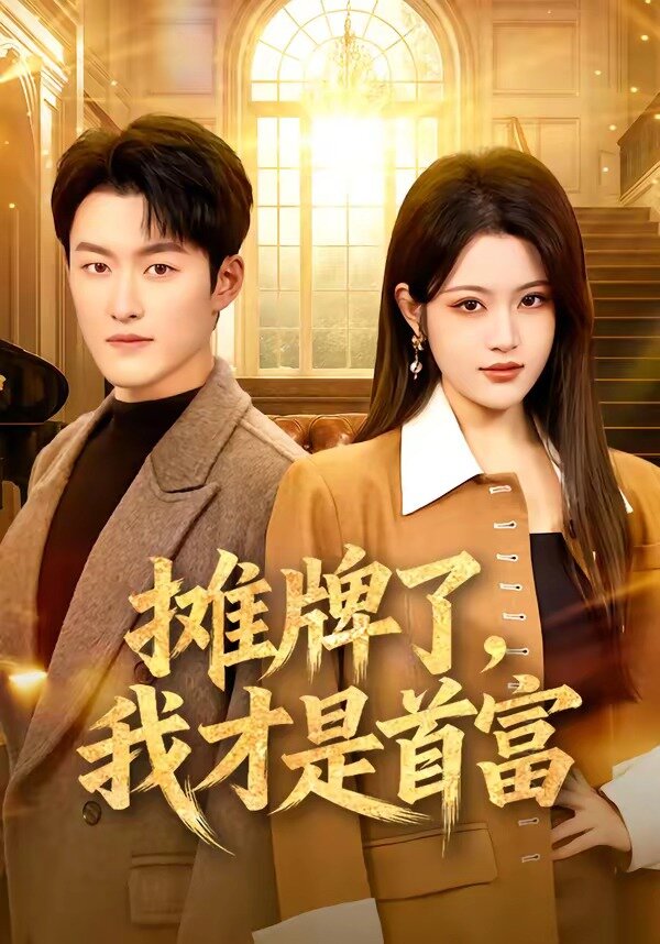 摊牌了，我才是首富全集