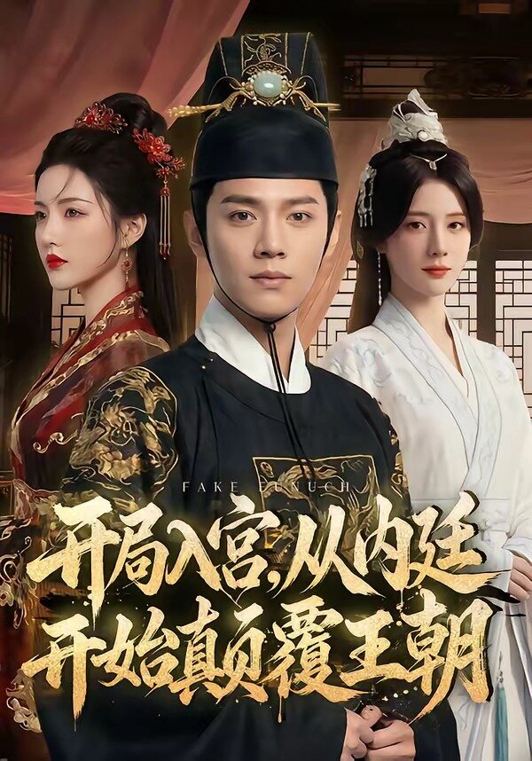 开局入宫，从内廷开始颠覆王朝全集