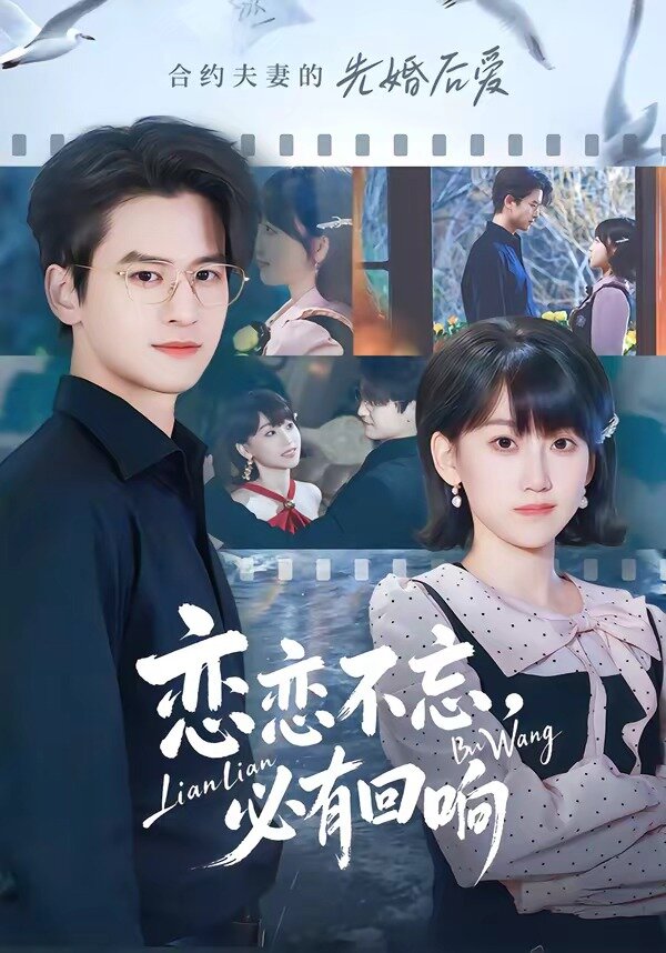 恋恋不忘，必有回响全集