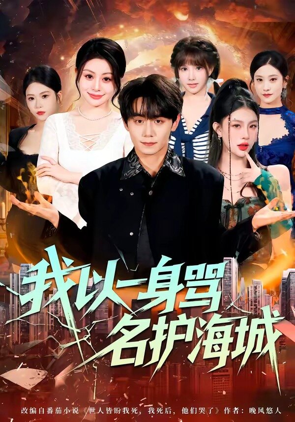 我以一身骂名护海城全集