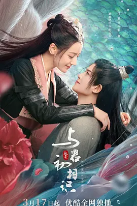 与君初相识全集