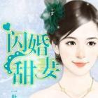 闪婚甜爱全集