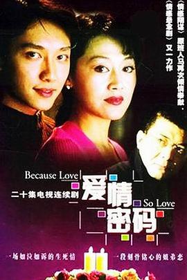 爱情密码（2001）全集