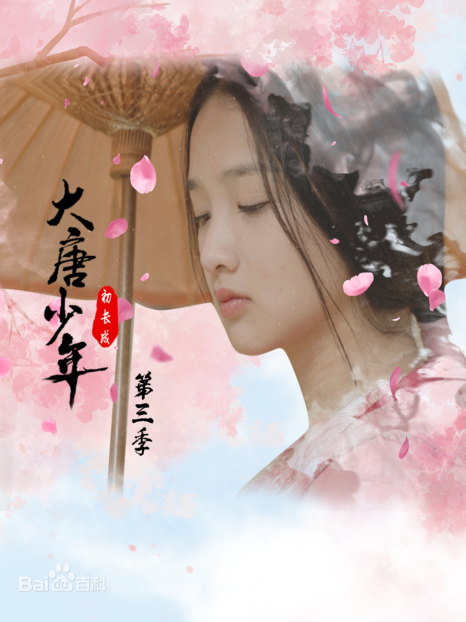 大唐小娘子第三季全集