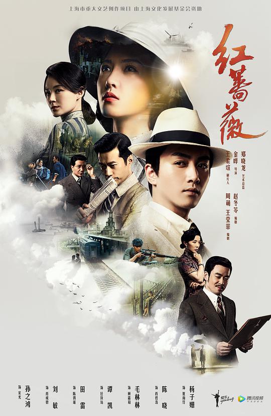 红蔷薇网络版全集