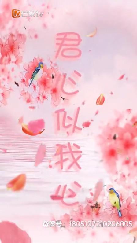 君心似我心全集