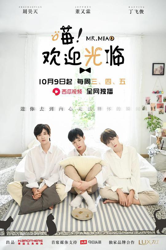 喵！欢迎光临全集