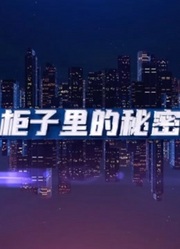 柜子里的秘密全集