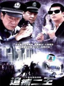 追捕二王全集