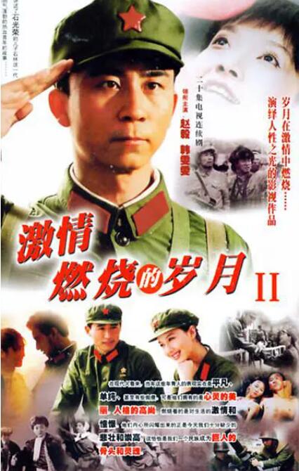 激情燃烧的岁月2全集