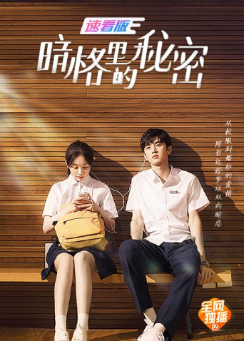 暗格里的秘密 速看版全集