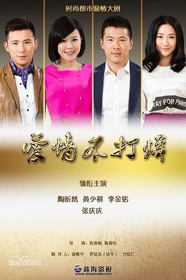 爱情不打烊全集