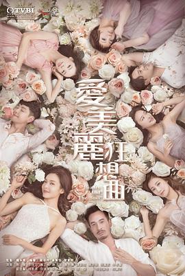 爱美丽狂想曲国语全集