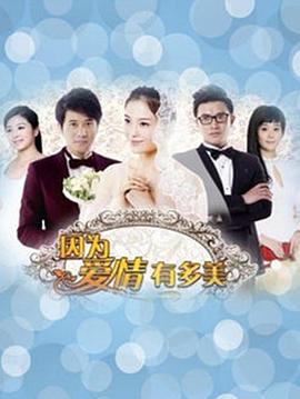 因为爱情有多美全集