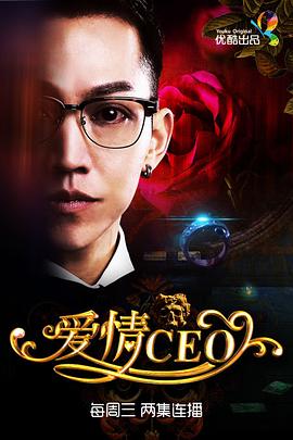 爱情CEO全集