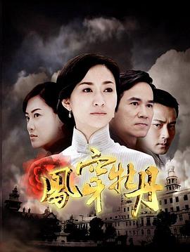 凤穿牡丹全集