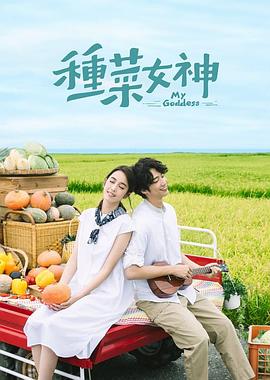 种菜女神全集