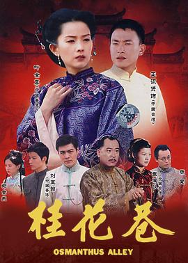 桂花巷2002全集