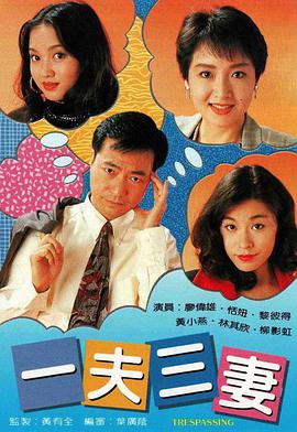 一夫三妻粤语全集