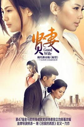 贤妻2013全集