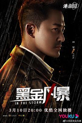 黑金风暴粤语全集