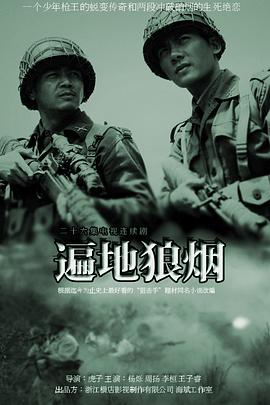 遍地狼烟2011全集