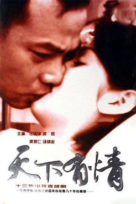 天下有情之天涯路国语全集