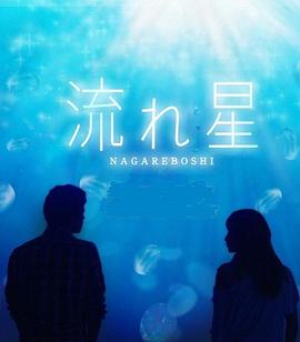 流星2010全集