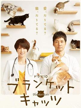 毛毯猫全集