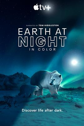 夜色中的地球第二季全集