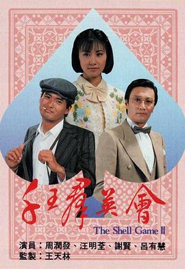 千王群英会国语全集