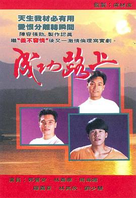 成功路上粤语全集