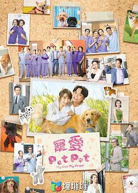 宠爱Pet Pet粤语全集