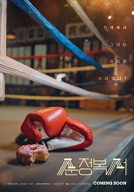 纯情拳击手全集