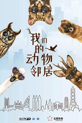 我们的动物邻居粤语全集