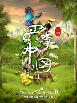 四季中国第二季粤语全集