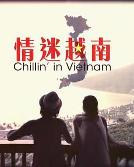 情迷越南粤语全集