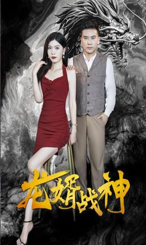 龙婿战神全集