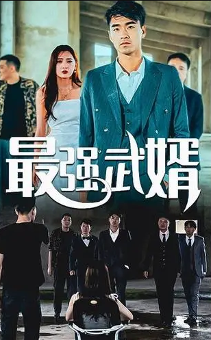 最强武婿全集