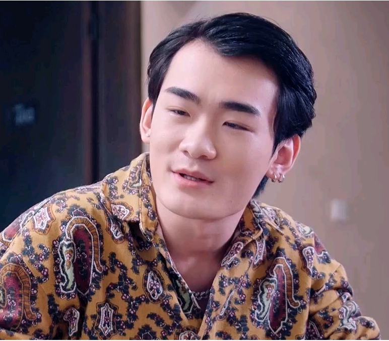 上门傻婿全集
