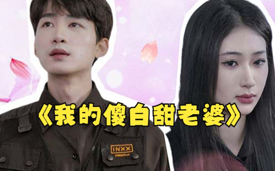 我的傻白甜媳妇（神龙狂婿）全集