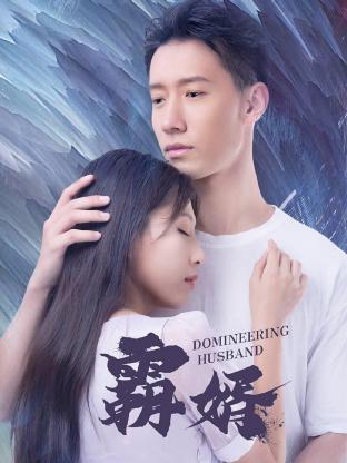 霸婿全集