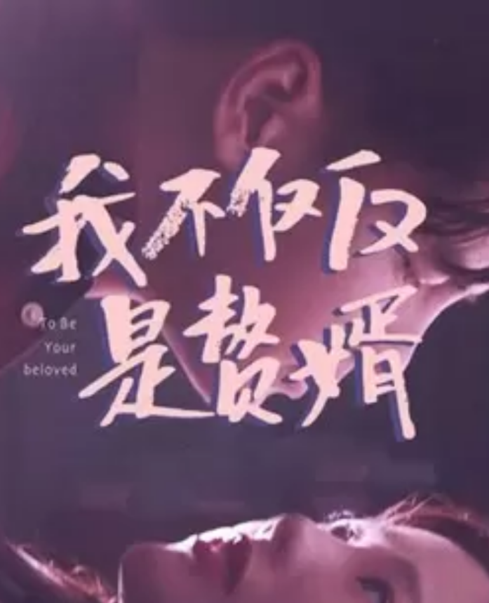 我不仅仅是赘婿全集