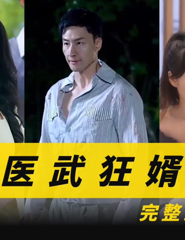 医武狂婿全集