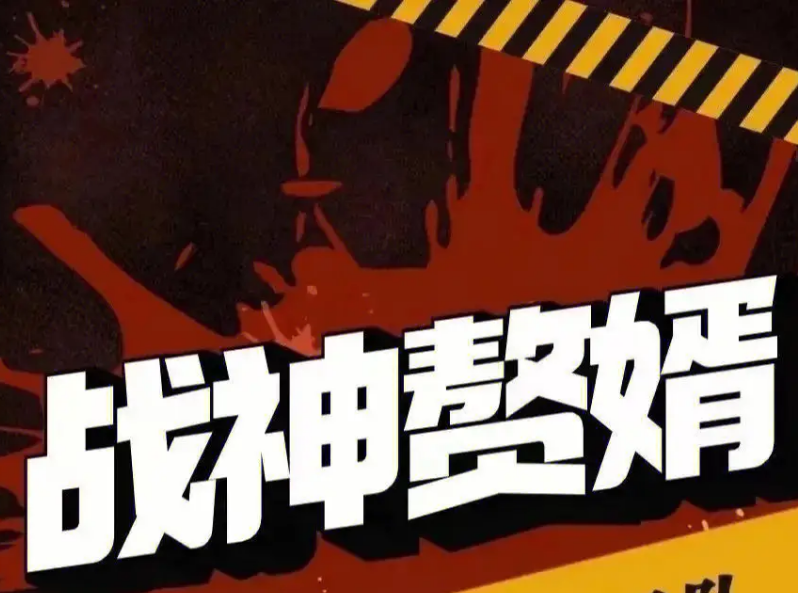赘婿战神全集