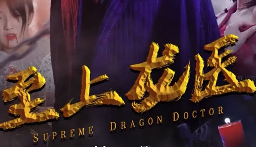 至上龙医全集